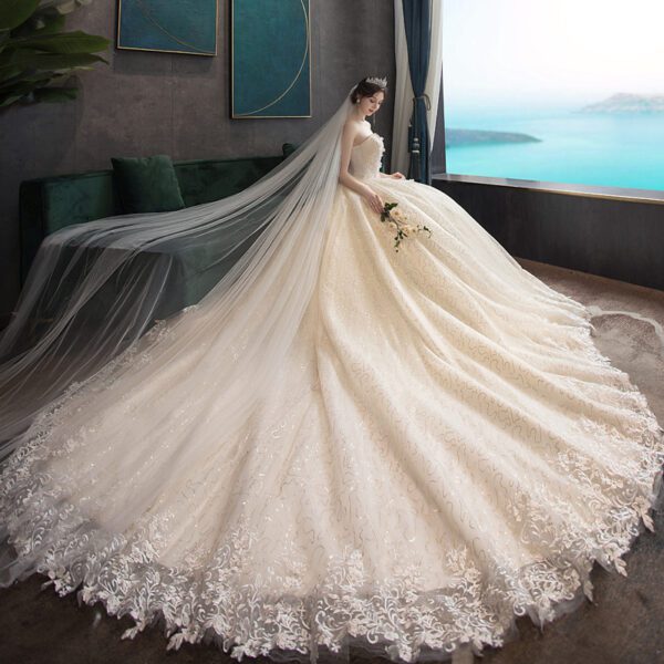 10100037784348.jpg Going out Sasen light wedding dress