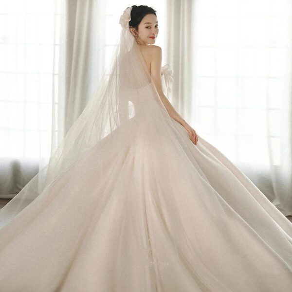 bb1a7dd7-9074-4102-8014-477659bc7c5f.jpg A Strapless Dress With A Big Train