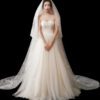 Bridal Wedding Dress Long Tail Luxury Super Fairy Wedding Veil